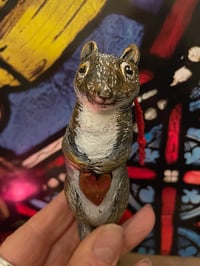 Image 1 of Sam Squirel