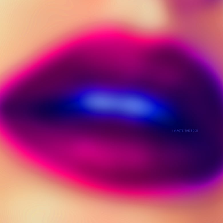 Image of I Wrote The Book