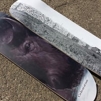 Image 4 of Buffalo Bones deck