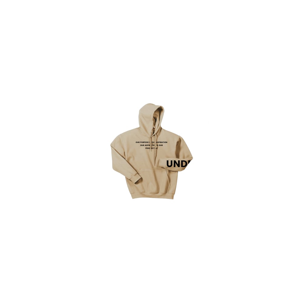 Image of PERSPECTIVE HOODIE - CONCORD IVORY