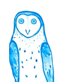 Image 1 of Masked Owl