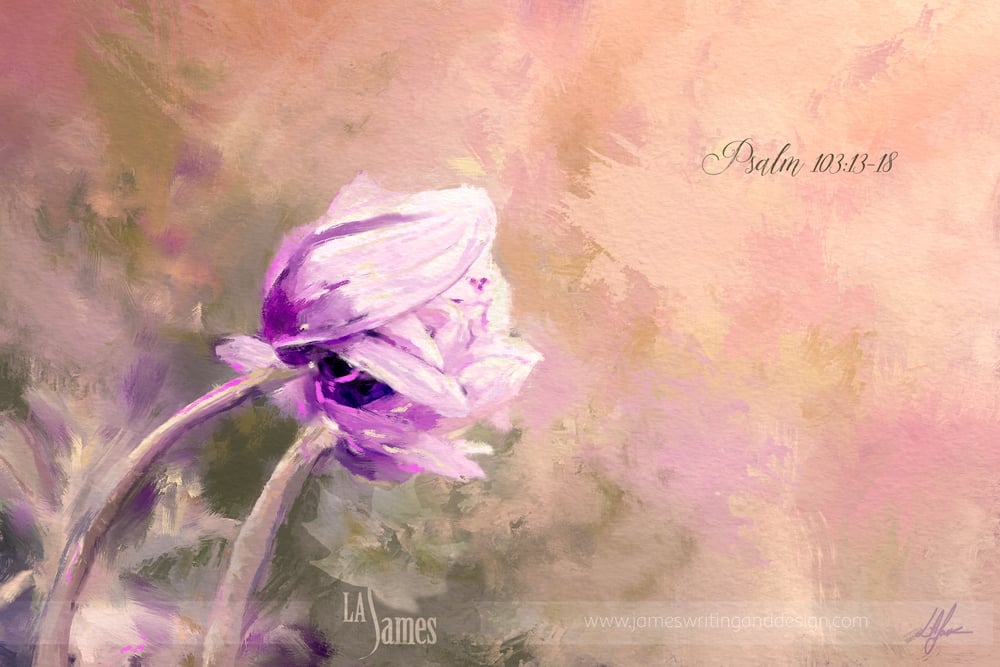 Image of Never Fade Psalm 103:13-18