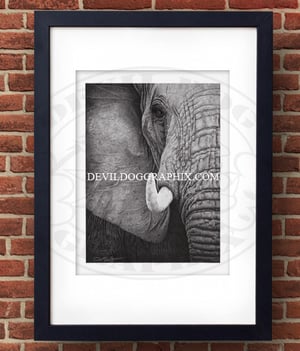 Image of ELEPHANT DRAWING PRINT