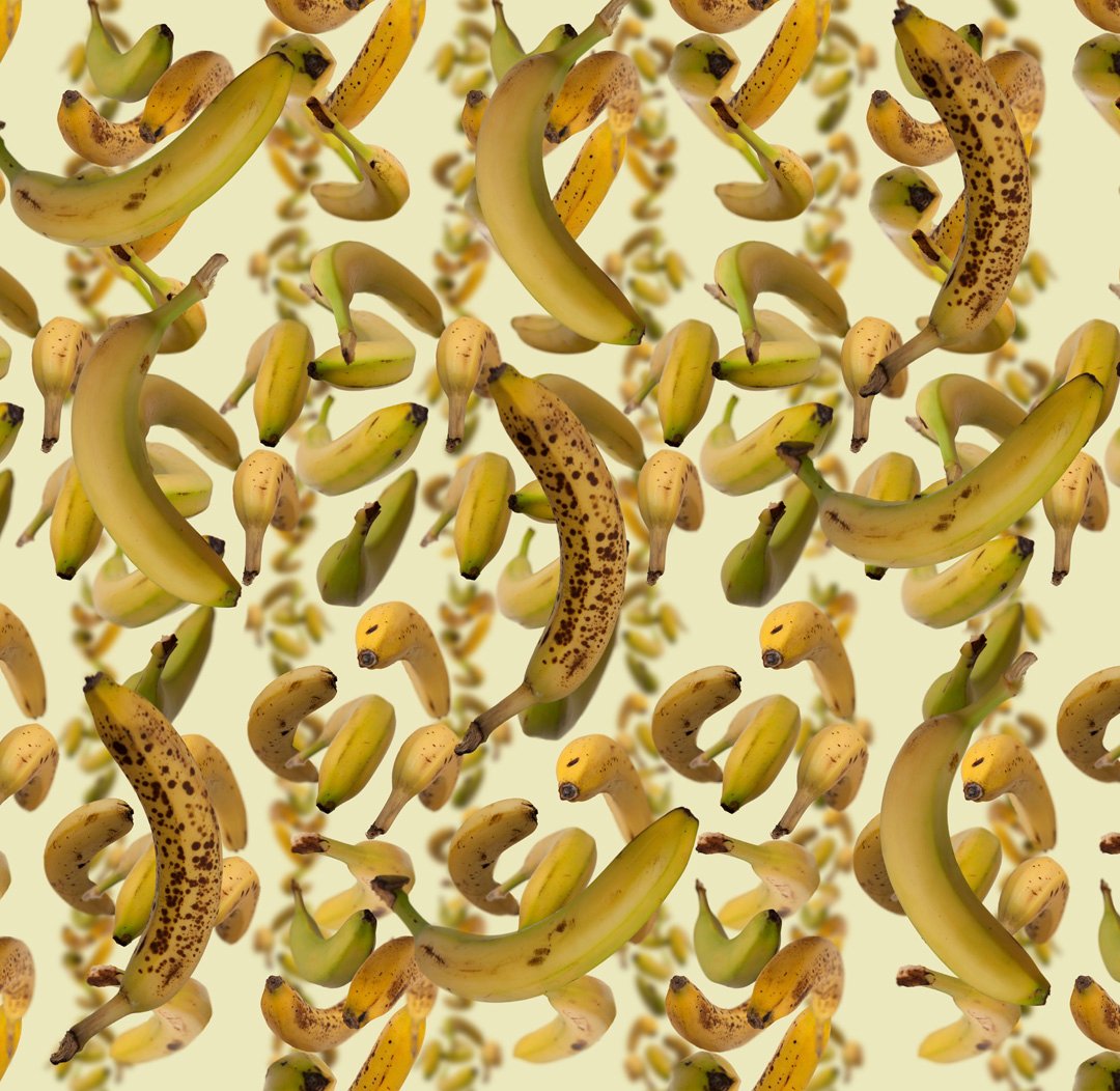 Spinning Banana Shower Curtain | Fallen Fruit