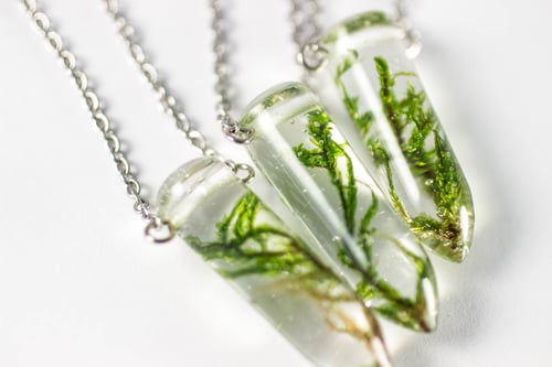 Image of Moss Specimen Necklace