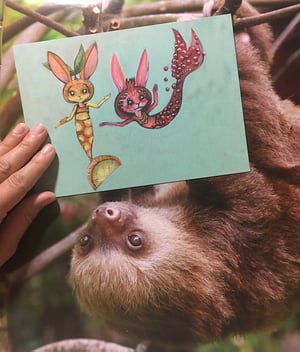 Image of Individual 5" x 7" Post Cards