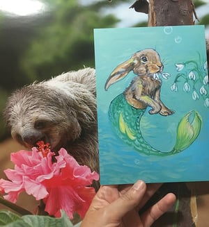 Image of Individual 5" x 7" Post Cards