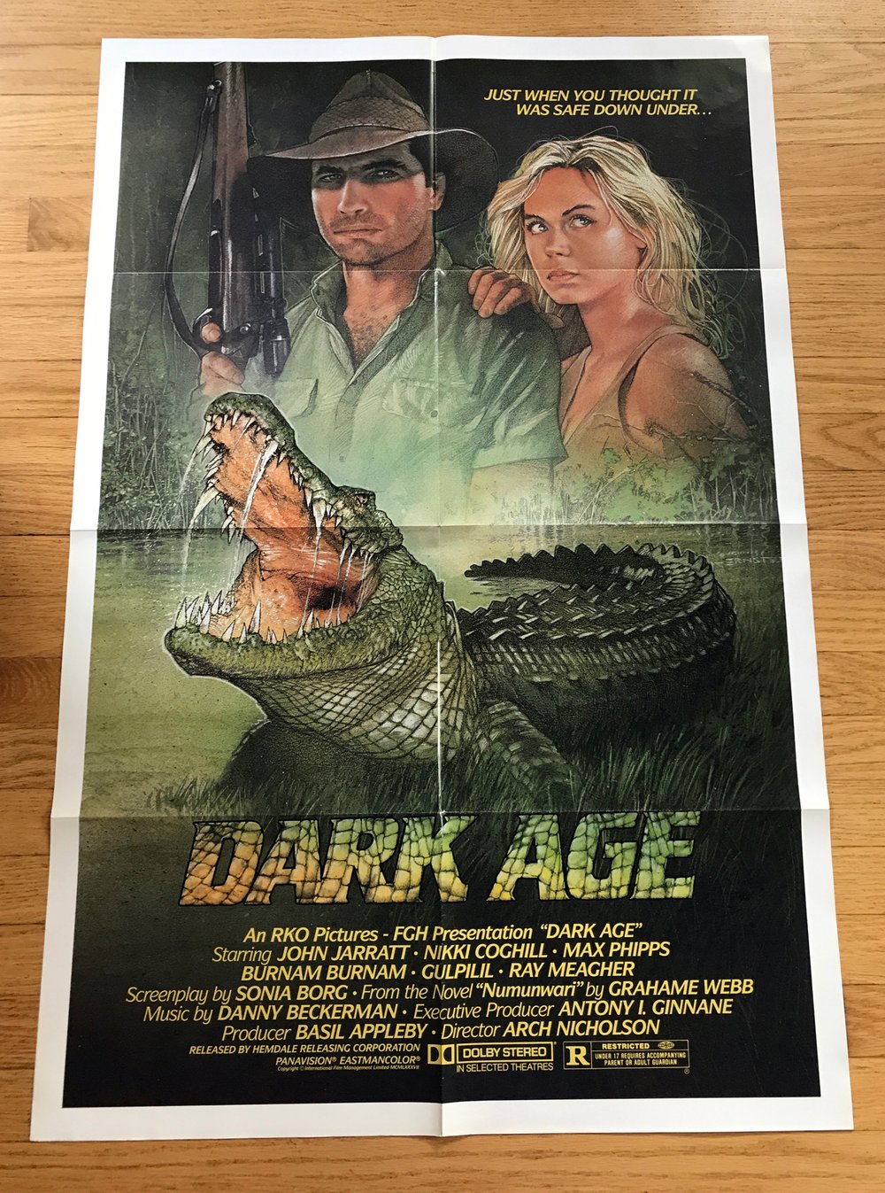 1987 DARK AGE Original U.S. One Sheet Movie Poster