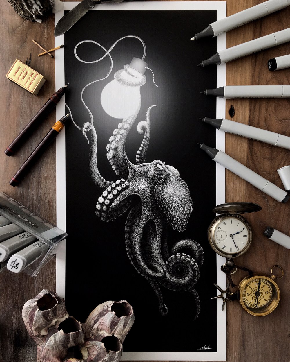 Image of Octopus