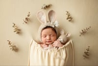 Image 1 of Bunny Set 