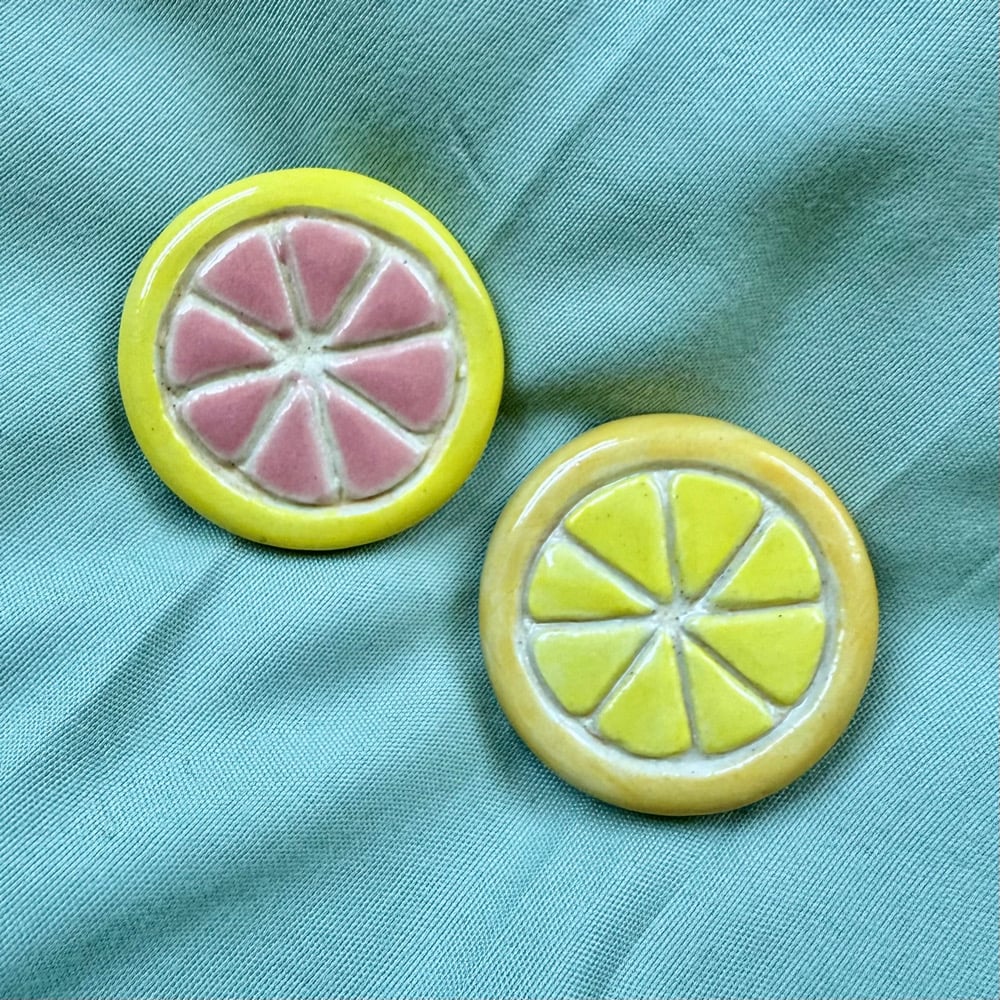 image of citrus magnets