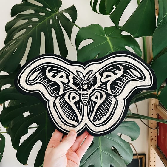 Image of Atlas Moth Woodcut 