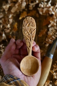 Image 5 of The Oak tree Special Coffee Scoop