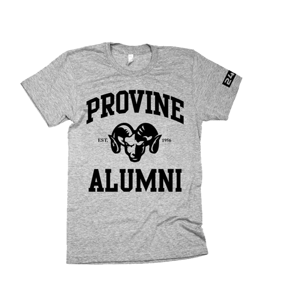 Image of ALUMNI Established TEE-Available in Grey, White, or Red