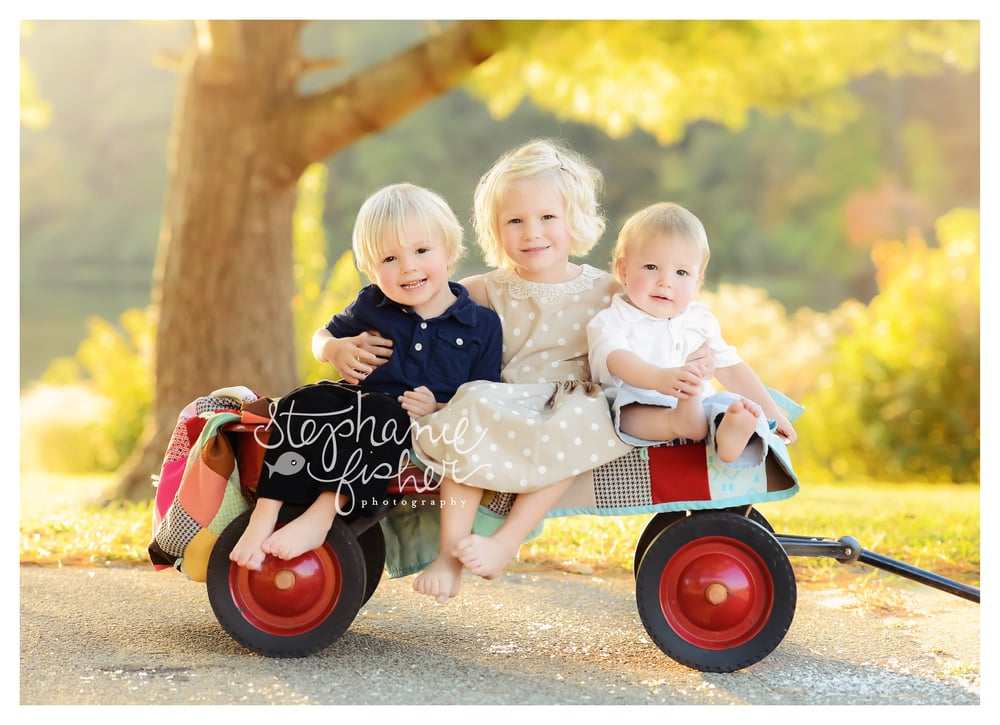 Image of 2025 Holiday Minis