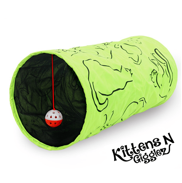 Image of Green Kitty Tunnel with Toy