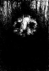 Shadow