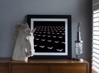 Image 2 of Red/Blue Audience