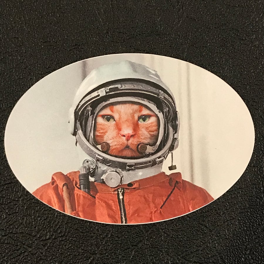 Image of Catstronaut Sticker