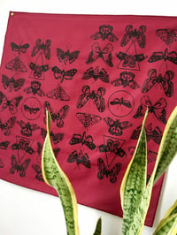 Image 5 of Moth Print Bandana in Burgundy and Black