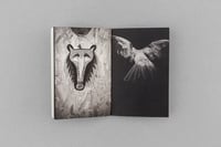 Image 4 of Survivalists / Léa Habourdin