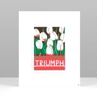 Image 1 of Triumph!