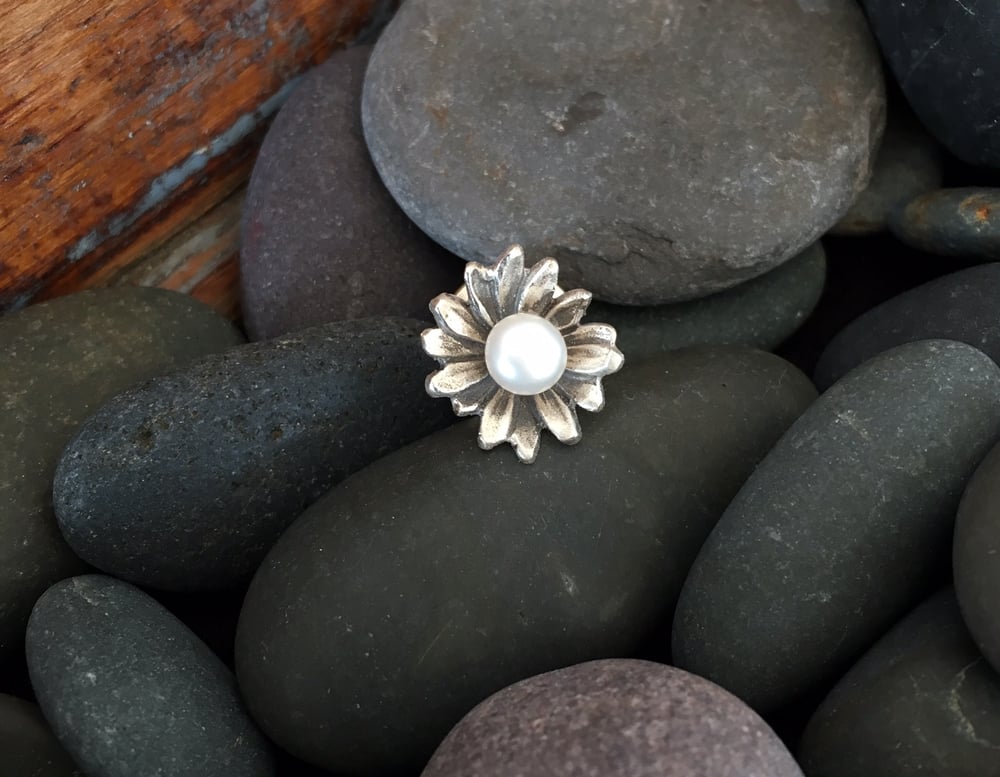 Image of SILVER DAISY - WHITE PEARL