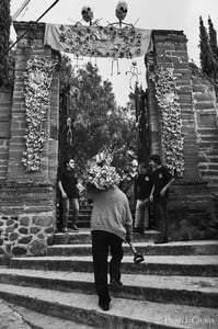 Image of "Flowers for the Dead" Mexico Dia De Los Muertos (Day Of The Dead)