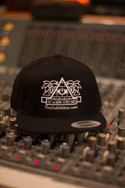Image of Saltmine Studios Snapback Hat