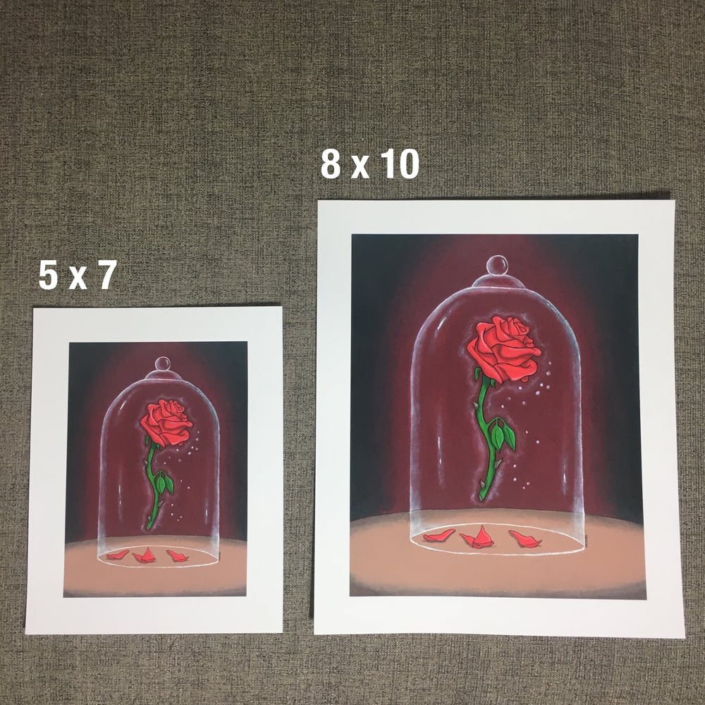 Image of Enchanted Rose Prints  (5x 7 & 8 x 10)