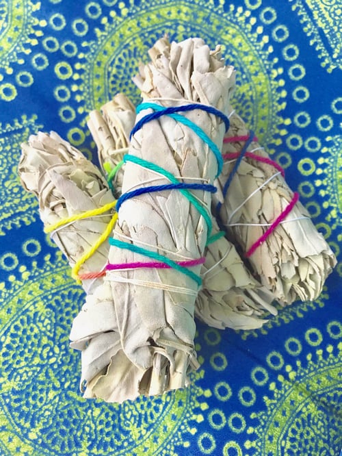 Image of White California Sage