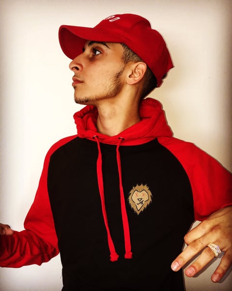 Image of EXCLUSIVE LIONHEART HOODIES SOLD OUT!