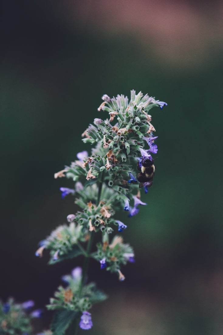 Image of rest, my friend