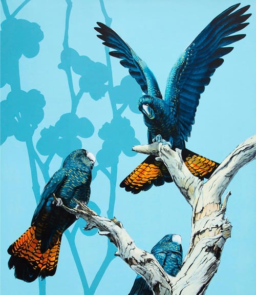 Black Cockatoos Print Martinich&Carran