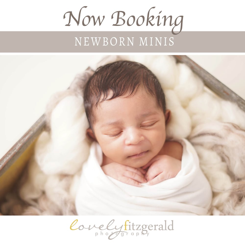 Image of Petite Newborn Portrait