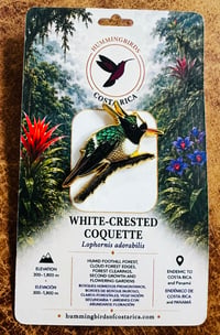 Image 4 of Hummingbirds of Costa Rica Pin Badges