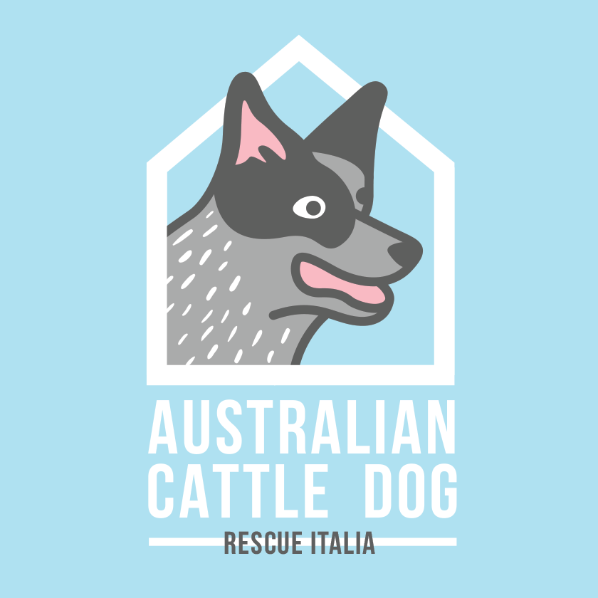 Image of Donazione a sostegno dell' Australian Cattle Dog Rescue Italia