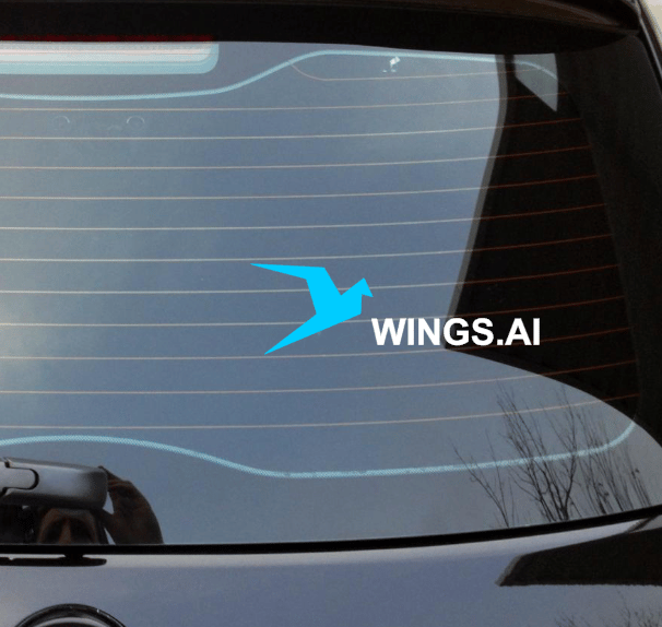 Image of Wings Car vinyl sticker decal pack of 2