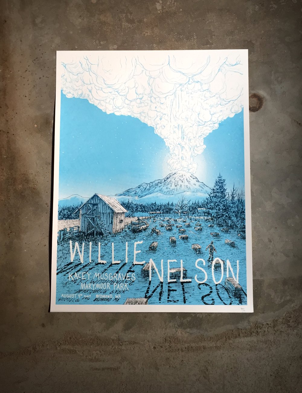 Willie Nelson at Marymoor Park Aug 9 2017