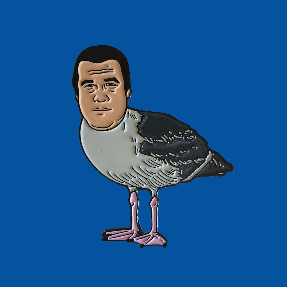 Image of Steven Seagull