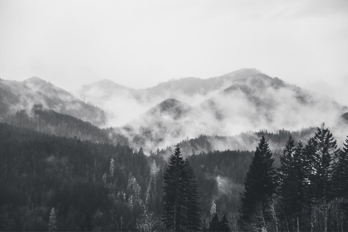 Image of The Mountains Are Calling