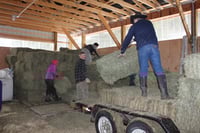 Image 4 of Buy-a-Bale