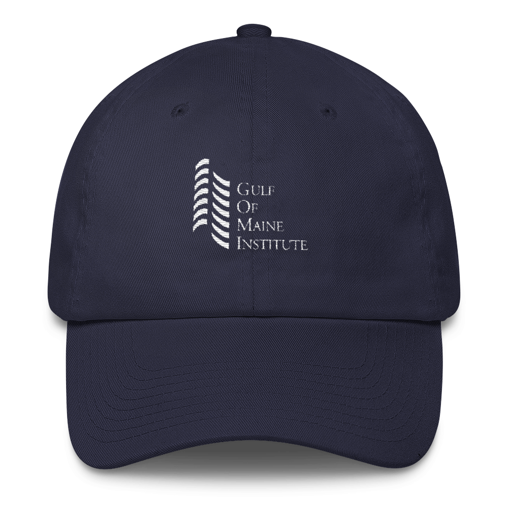 Image of GOMI Logo Hat