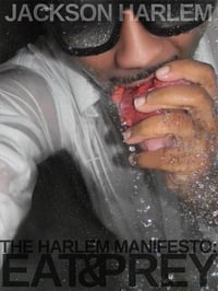 PRIVATE PARTY - The Novel - 2012 - Jackson Harlem