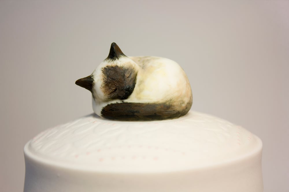 Image of Siamese Cat Custom Urn, Seal Point, Blue Point, Lynx Point, Ragdoll, Snowshoe