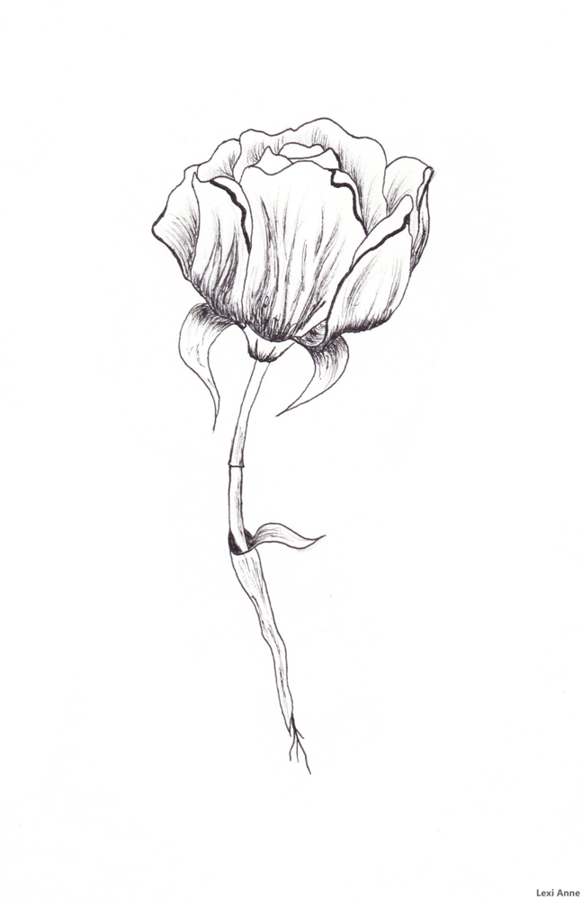 Image of 3am Flower