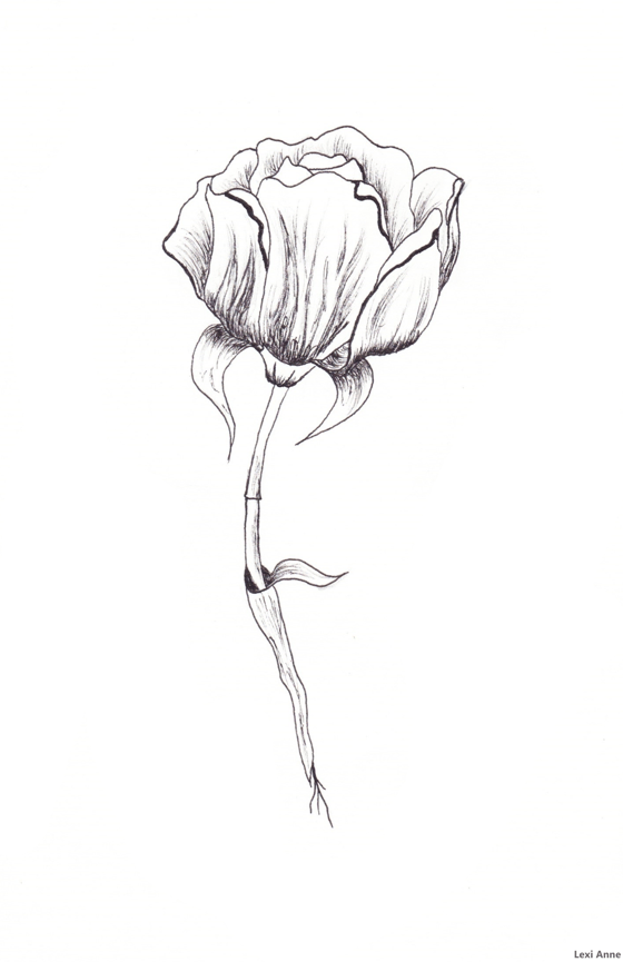 Image of 3am Flower