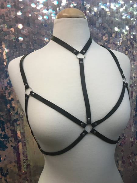 Image of Dark Soul Leather Harness
