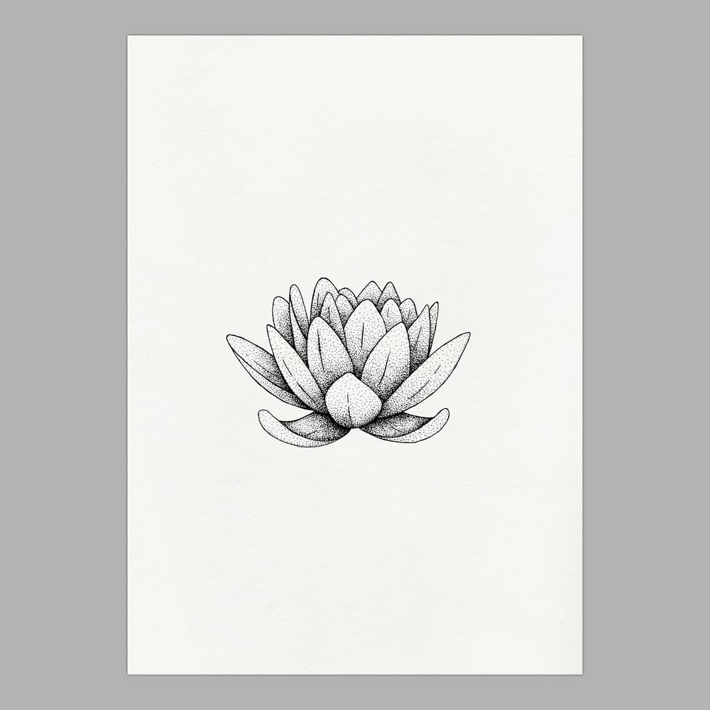 Image of Lotus original ink drawing