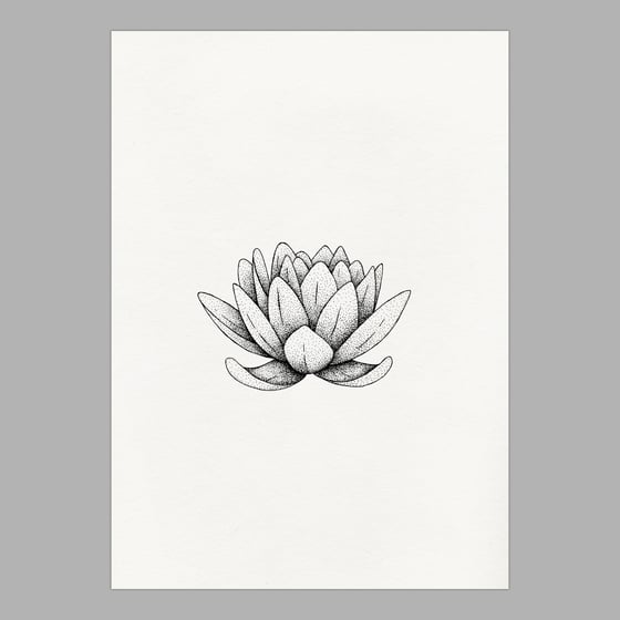 Image of Lotus original ink drawing